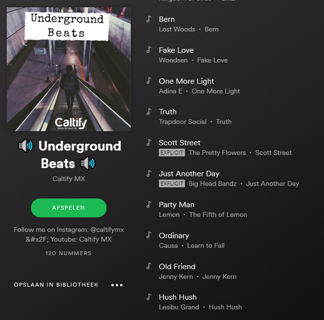 Song Party Man of Lemon Amsterdam in Underground Beats playlist Caltify